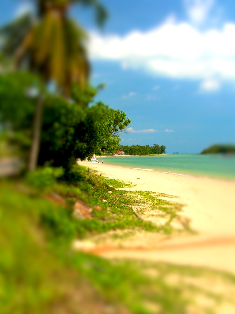 Where is Sandy Island?